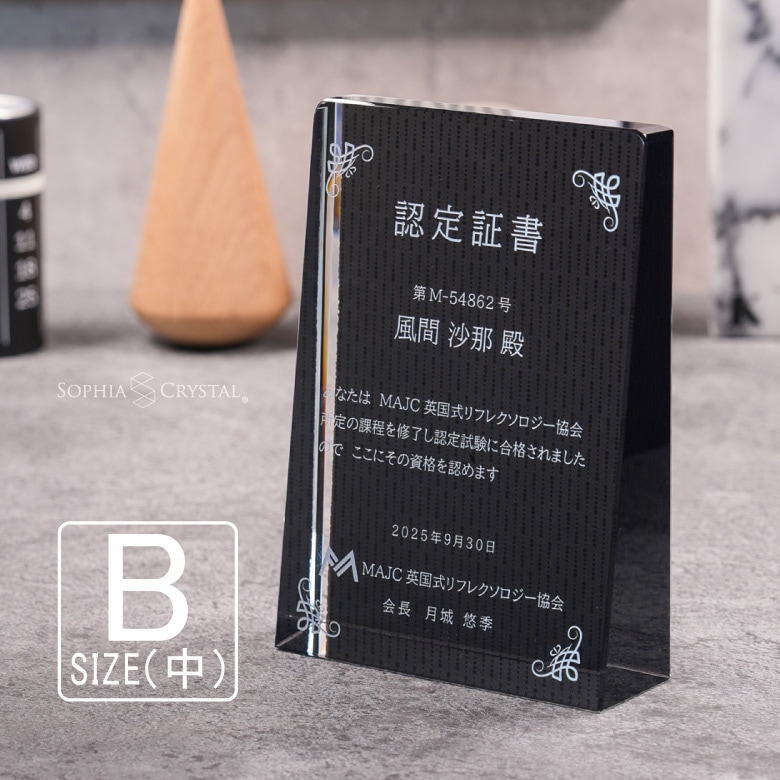 ブラックビューティー 盾 【DPB-17B】