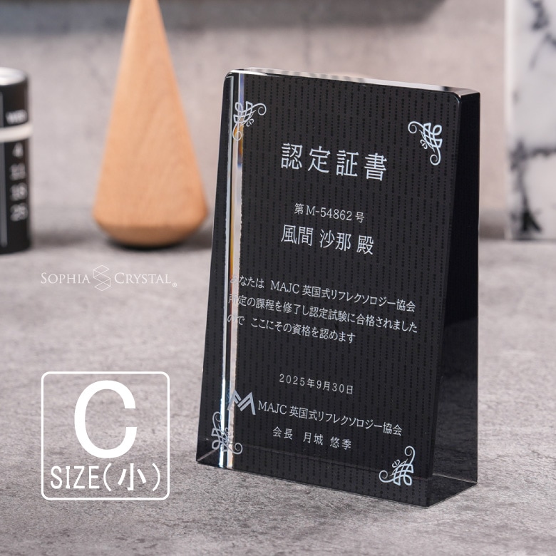 ブラックビューティー 盾 【DPB-17C】