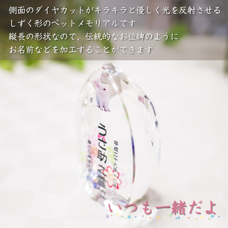 【クリスタル ペット位牌セットA】 KP-9-ASET（小）