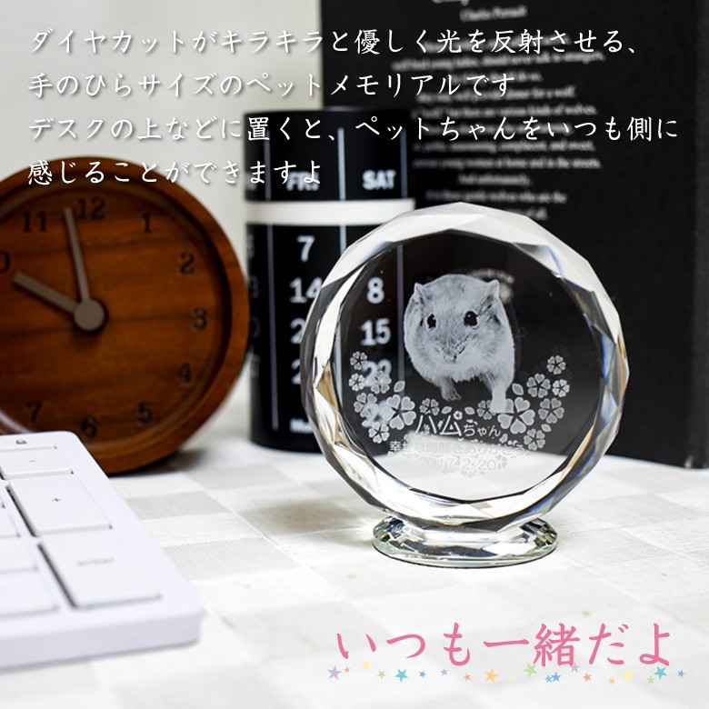 【ペット位牌】 KP-26B-2D(小)