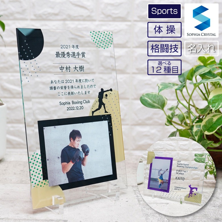 【スポーツ フォトフレーム】 体操 格闘技 DFS-1-sp3