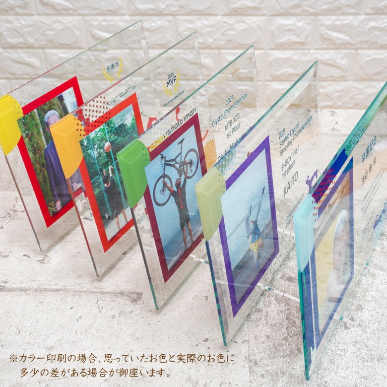 【スポーツ フォトフレーム】 水泳 海 馬術 DFS-1-sp4