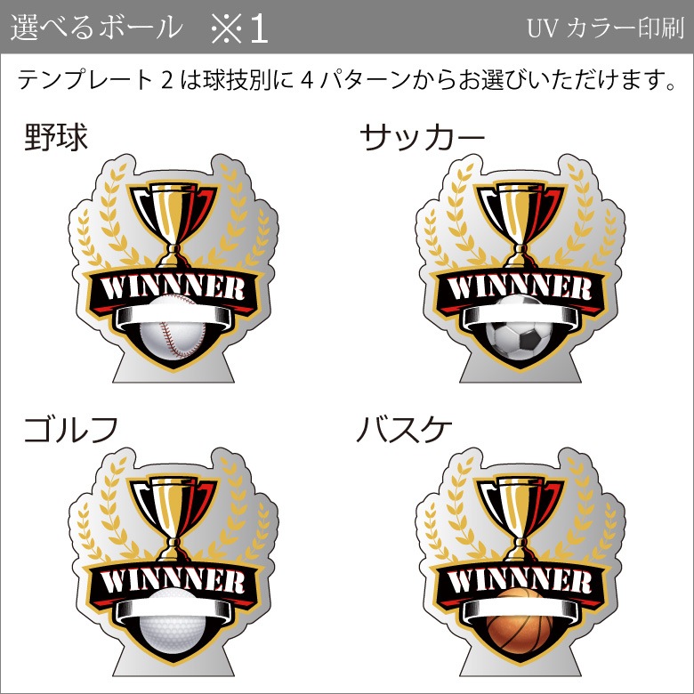 プレミアム アクリル 表彰盾 【ARP-1A】