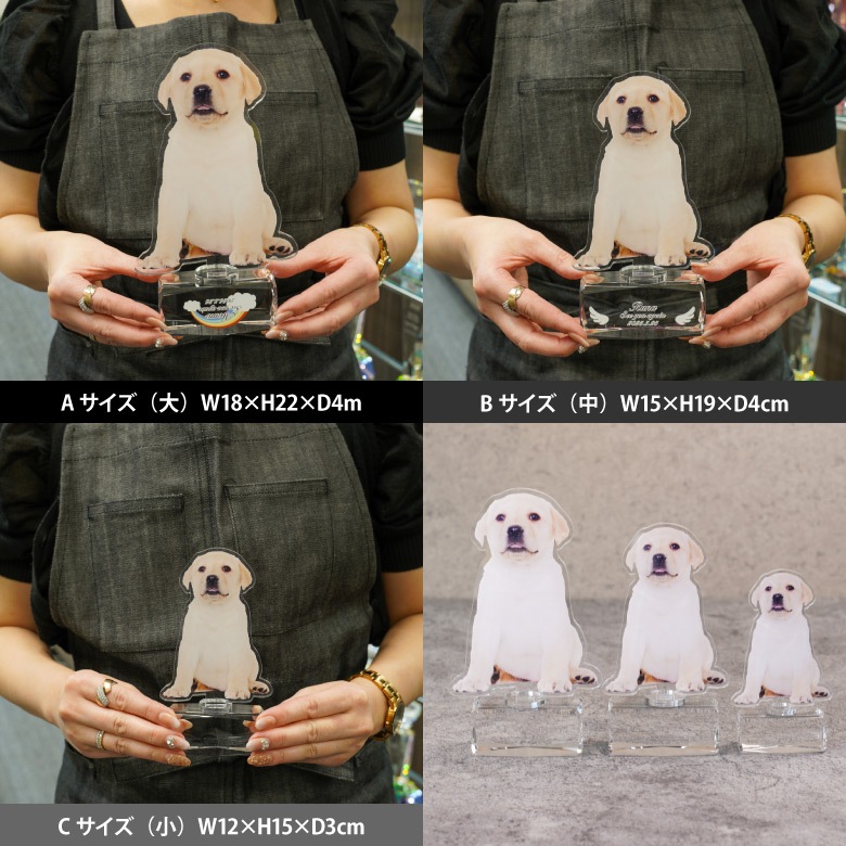 【アクリル ペットメモリアル】 PAR-1B(中)