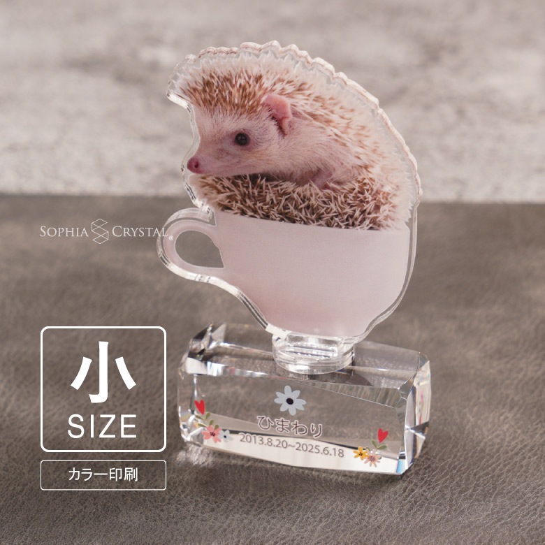【アクリル ペットメモリアル】 PAR-1C(小)
