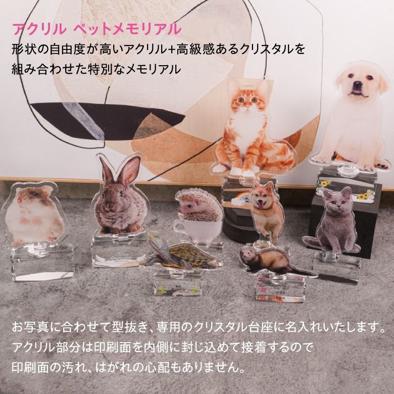 【アクリル ペットメモリアル】 PAR-1C(小)