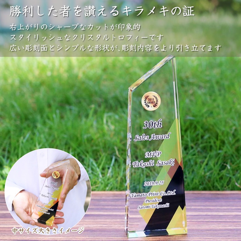 クリスタルトロフィー 【CR-23A】