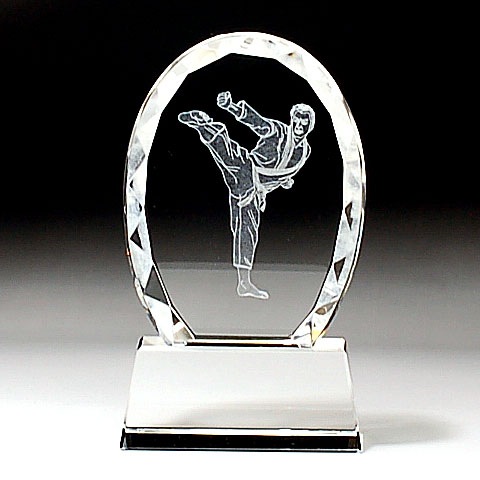 クリスタルトロフィー 【空手 811】