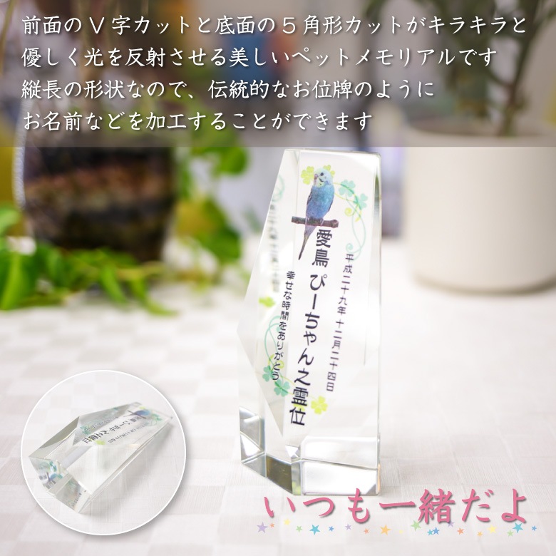 【クリスタル ペット位牌セットA】 KP-14-ASET（中）