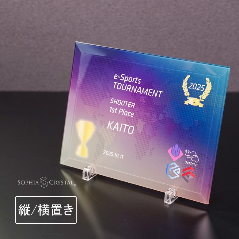 eスポーツ ガラス盾 【PS-U1-esp1】