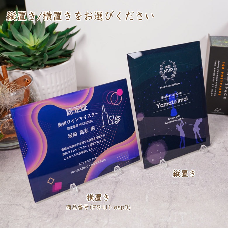 eスポーツ ガラス盾 【PS-U1-esp2】