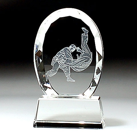 クリスタルトロフィー 【柔道 811】