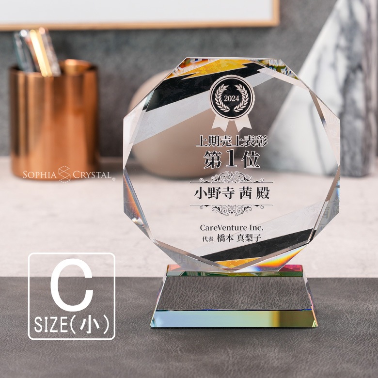 クリスタル盾 【DP-9C】