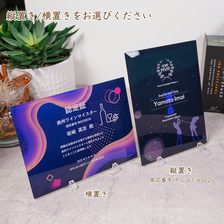 eスポーツ ガラス盾 【PS-U1-esp3】