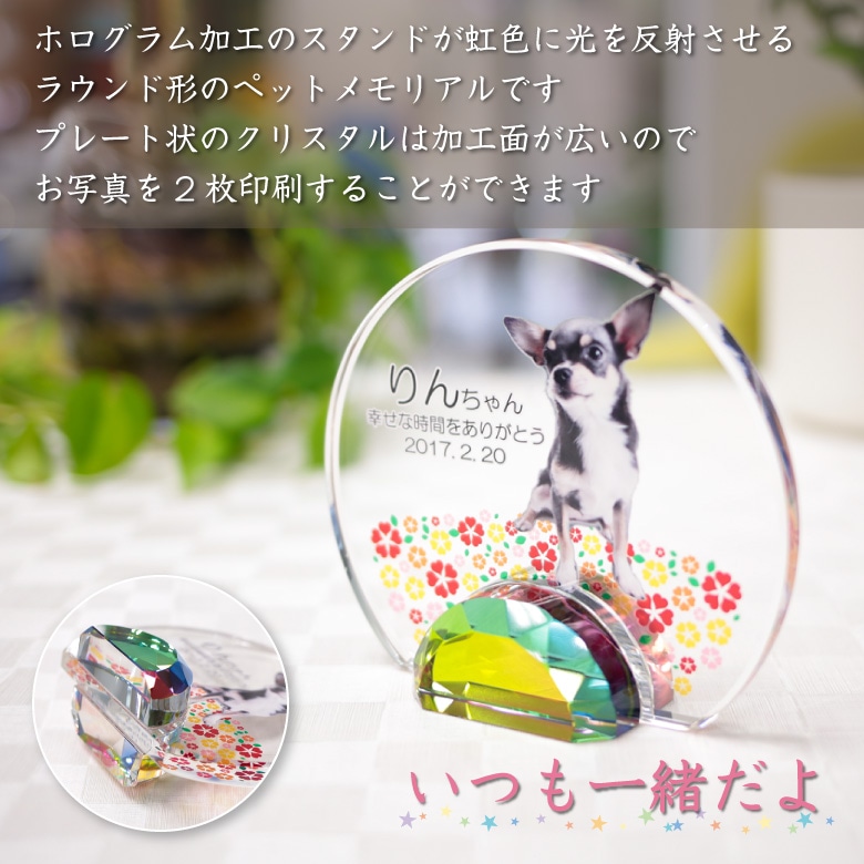 ペットメモリアルステージHorori9ご予約品 ペットメモリアルステージHorori9ご予約品