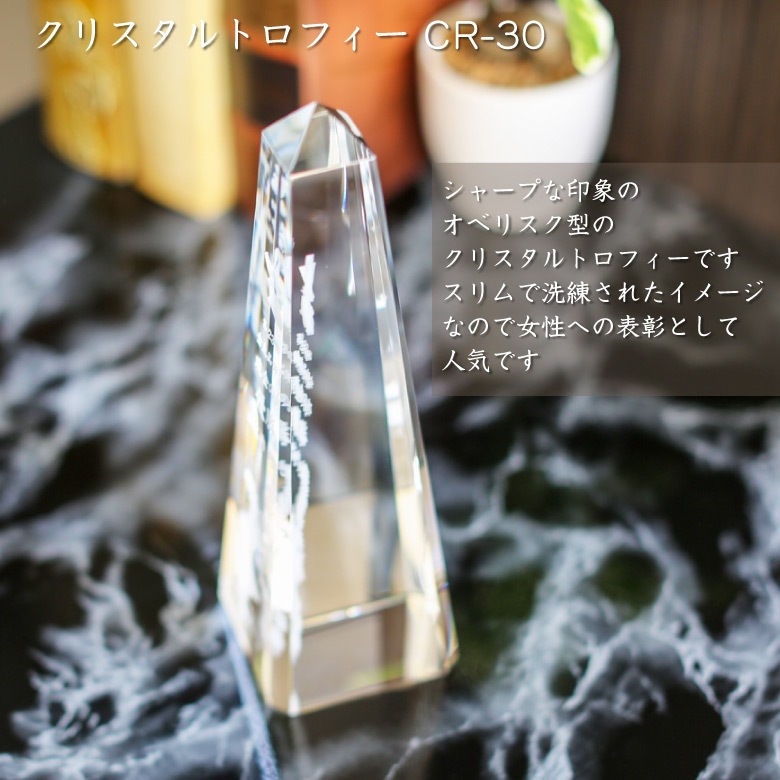 クリスタルトロフィー 【CR-30A】