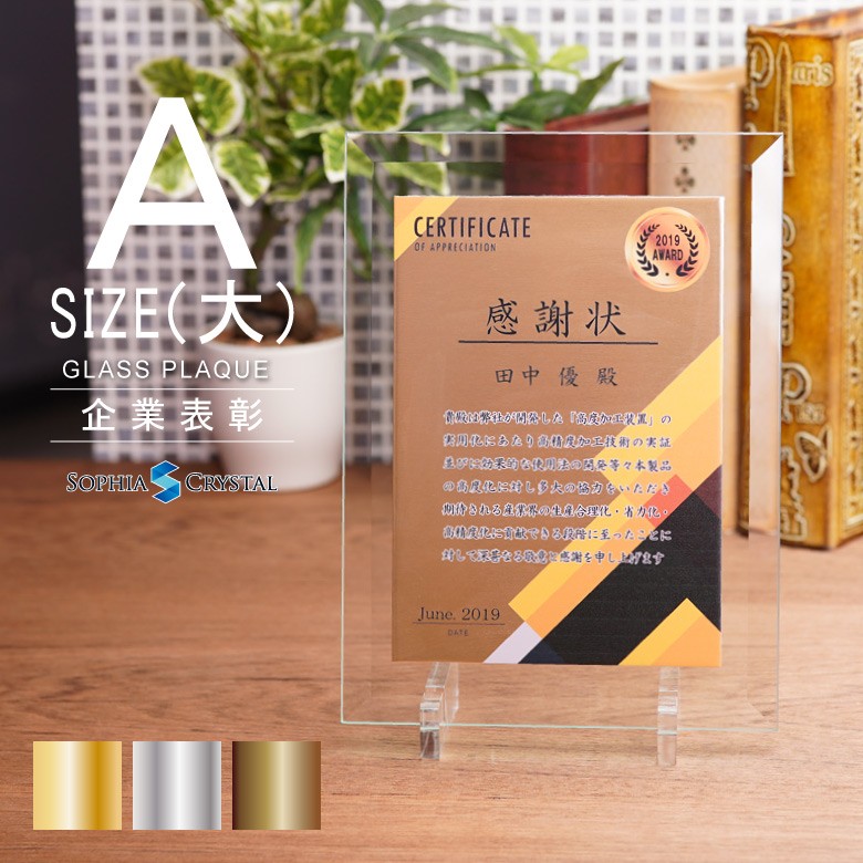 ガラス+金属プレート表彰盾 【PS-9A】 | 表彰盾,ガラス盾 | ソフィアクリスタル 記念品ドット大阪