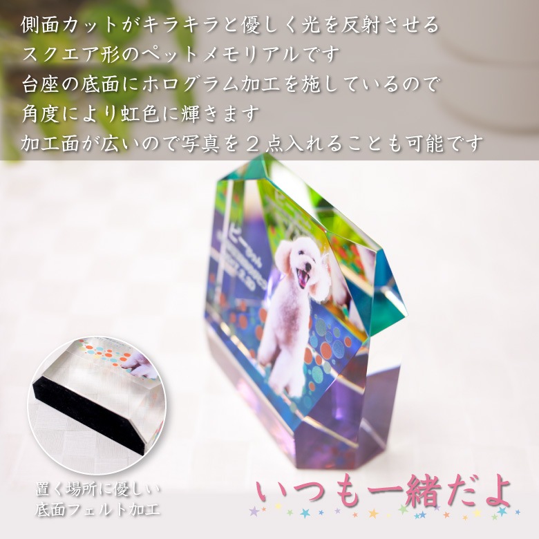 【クリスタル ペット位牌セットA】 KP-3-ASET（中）