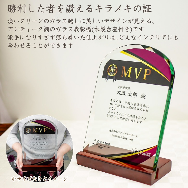 ソーダガラス盾 【DSP-1C】