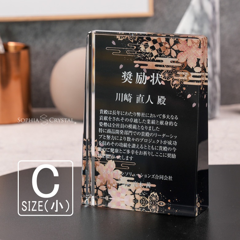 クリスタル盾 【DP-17C】