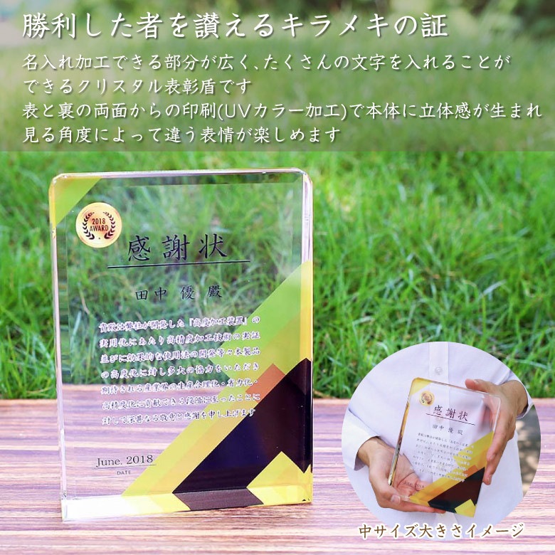 クリスタル盾 【DP-17C】