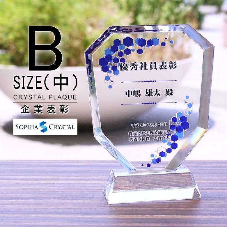 クリスタル盾 【DP-2B】