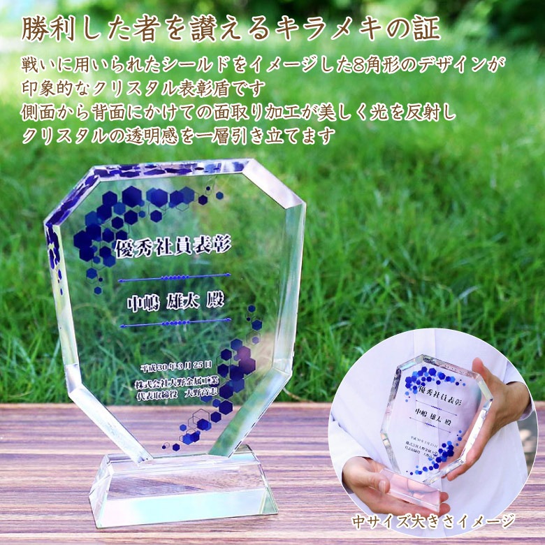 クリスタル盾 【DP-2B】