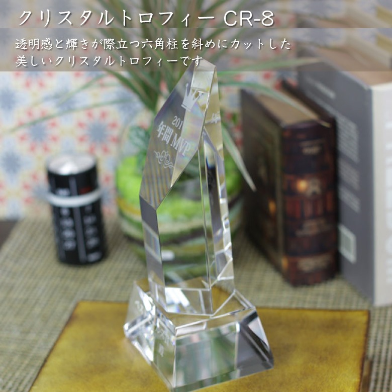 クリスタルトロフィー 【CR-8B】