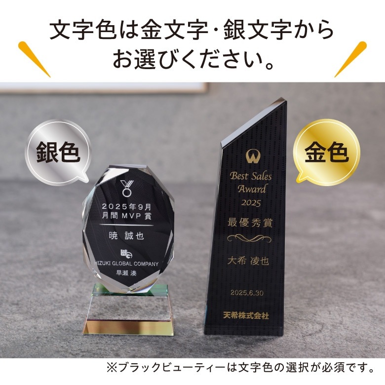 ブラックビューティー　トロフィー 【WCRB-40A】