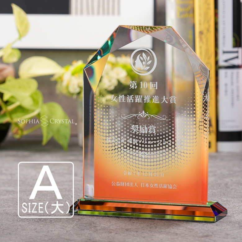 クリスタル盾 【DP-5A】