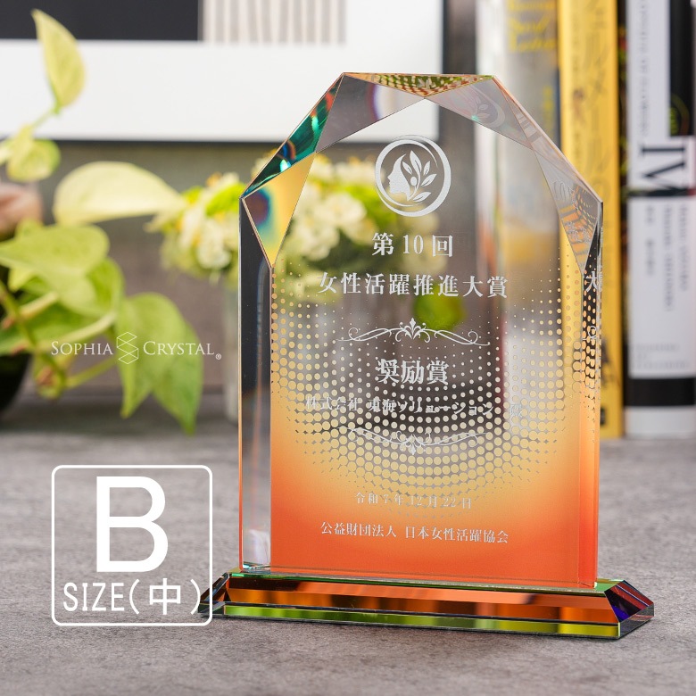 クリスタル盾 【DP-5B】