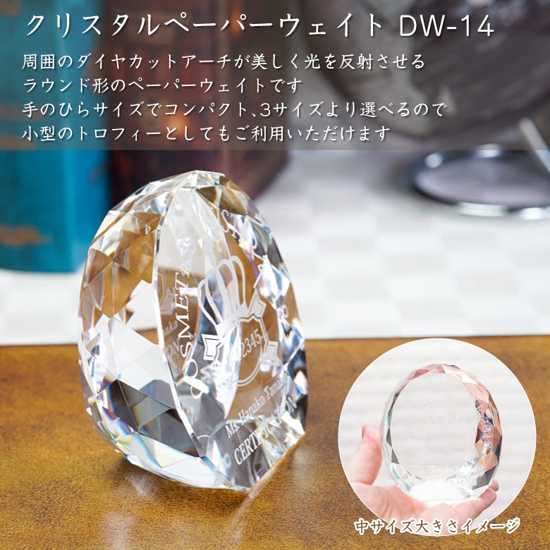 クリスタル ペーパーウェイト 【DW-14B】