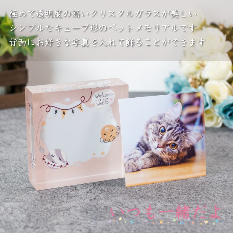 ペット 思い出クリスタル フォトフレーム】 KP-25A-p | すべての商品