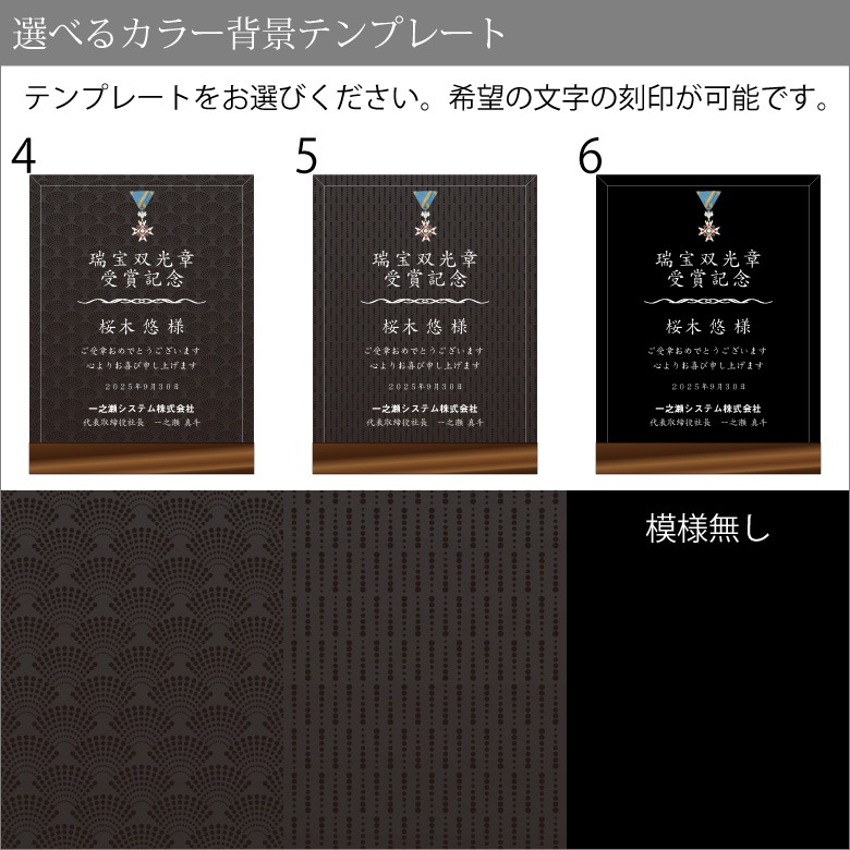 ブラックビューティー 盾 【DSPB-2B】