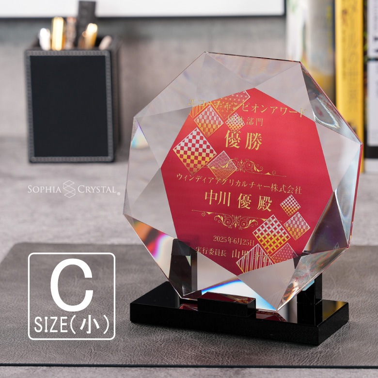 クリスタル盾 【DP-19C】