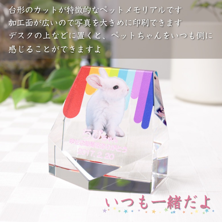 【クリスタル ペット位牌セットA】 KP-8-ASET（小）