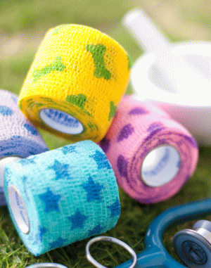 �ڥå�������