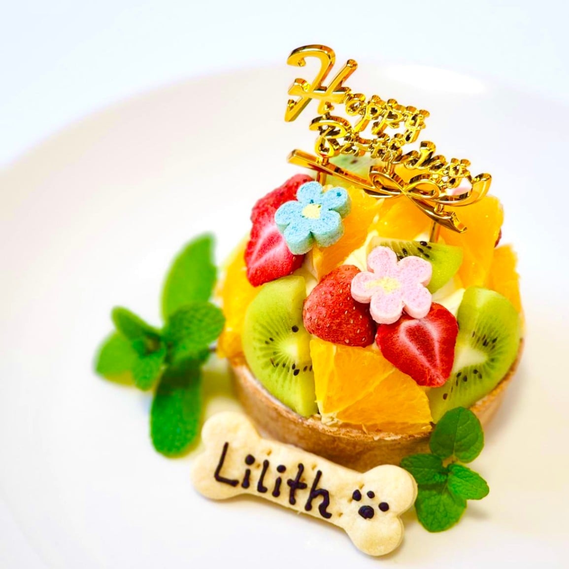 カロリーヌの だいパーティー26冊セット カロリーヌの だいパーティー他26冊セット ピエール・プロブスト