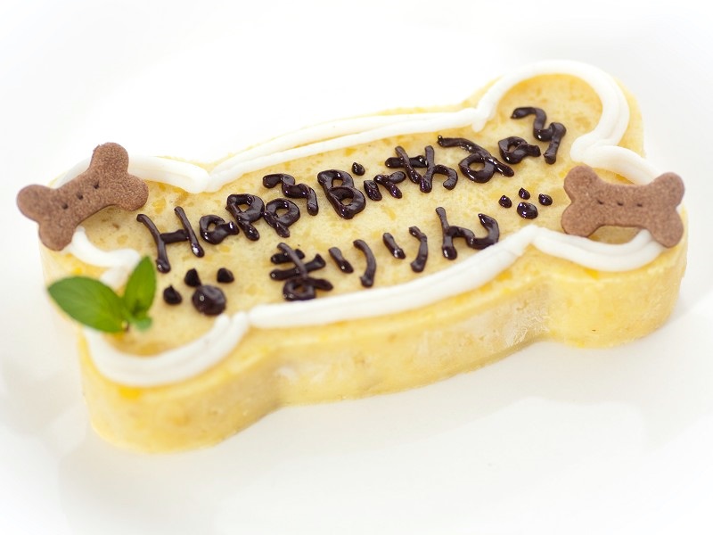 アレルギーフリーケーキ ボーン 冷凍便 犬 猫用ケーキ 犬用ケーキ アレルギー対応ケーキ 犬猫用ケーキ パティシエール セリ