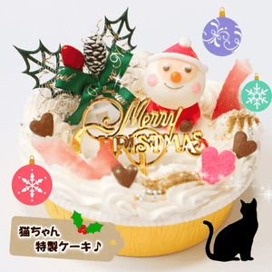 PatissiereSERI Kitty�ǣ�Υ��� (X�͡ˡ�������