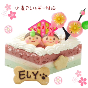 �Ҥʺפ�ǥ��졼�����ʤҤ��ߥǥ��˾�������륮���б���������