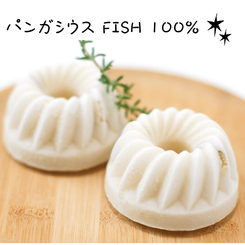 バンガシウスFishの濃厚テリーヌ２個セット★冷凍便
