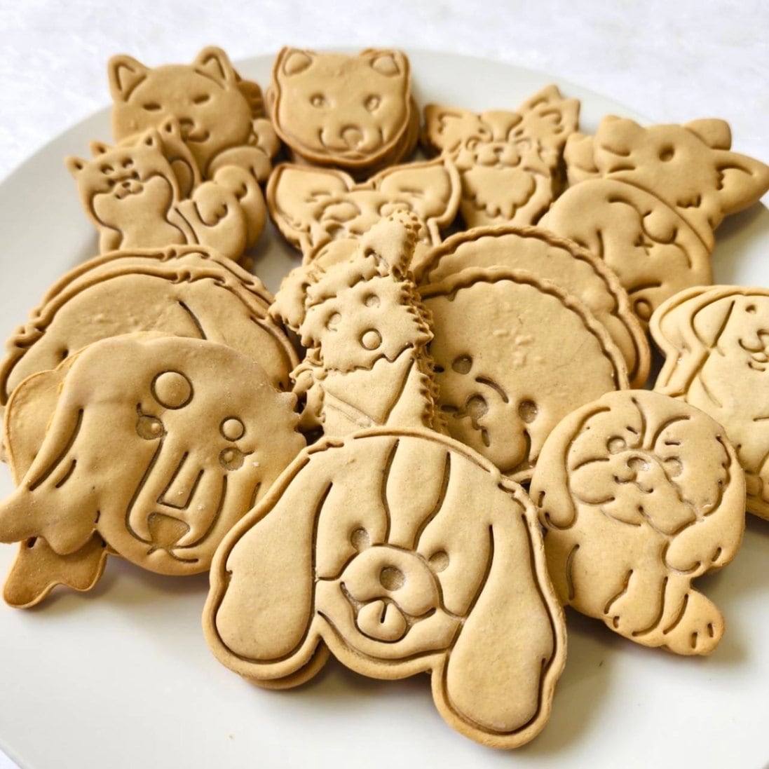 犬の似顔絵クッキー DearMyDog ☆冷凍便 | 犬・猫用ケーキ,犬用ケーキ