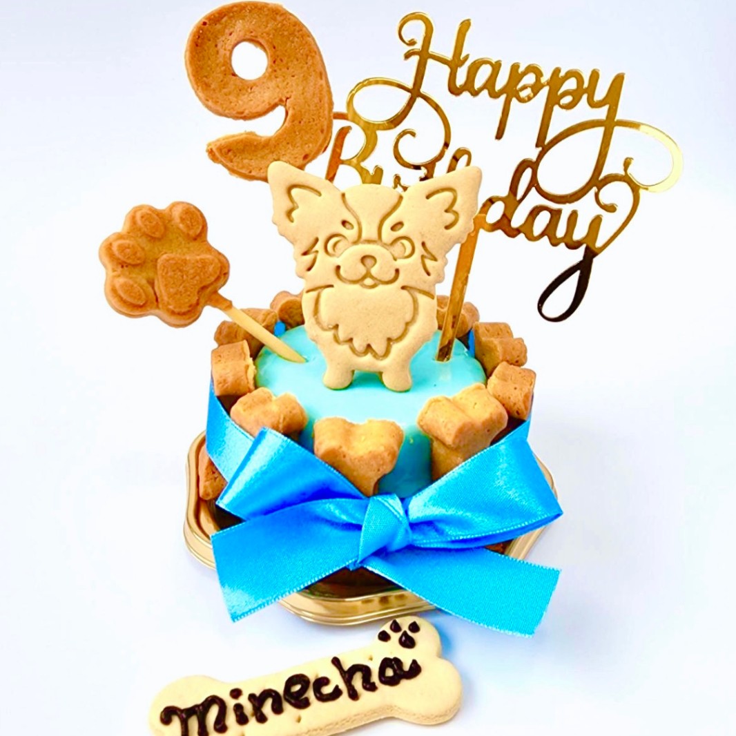 DearMyDog 11Bonesデコレーション(ブルー) ★冷凍便-犬猫用ケーキ パティシエール・セリ