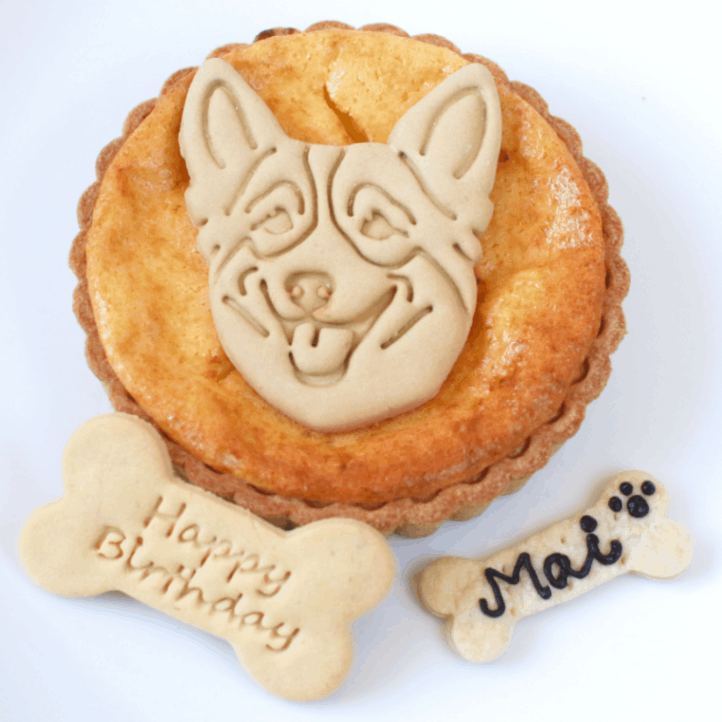 DearMyDog ベイクドチーズケーキ４号 ★冷凍便