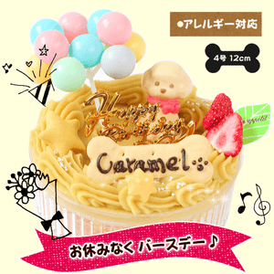 ����륮���б� ���ѡ����٤ߤʤ��С����ǡ�����������