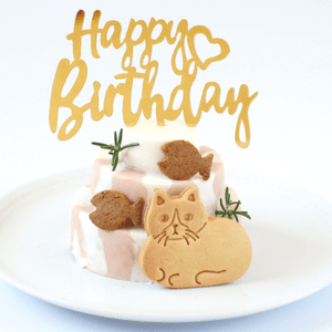 ǭ�� ������󡦥������� ��������