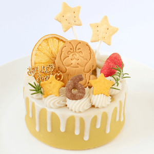 DearMyDog������륮���б�Drip�ǥ��졼����� ��������