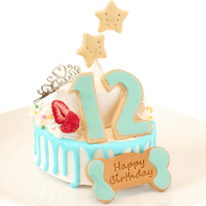 �������󥰥ʥ�С�Castle�ʥ֥롼�� 4���������