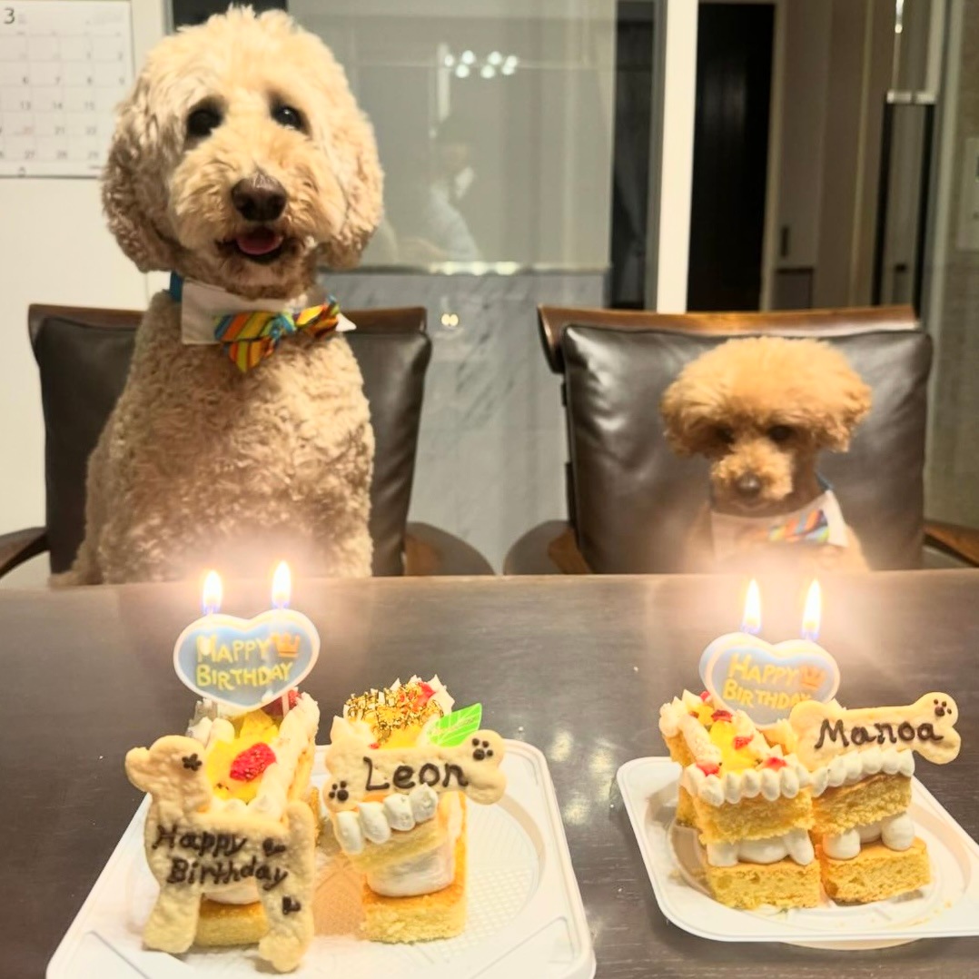 ���������ʥ�С��������ʥե롼�ġˡ�������